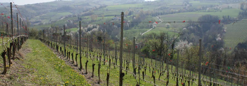 Cascina Mucci